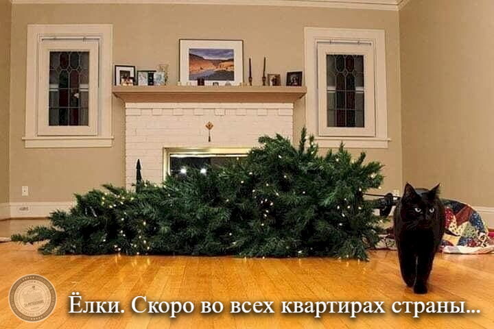 Елки
