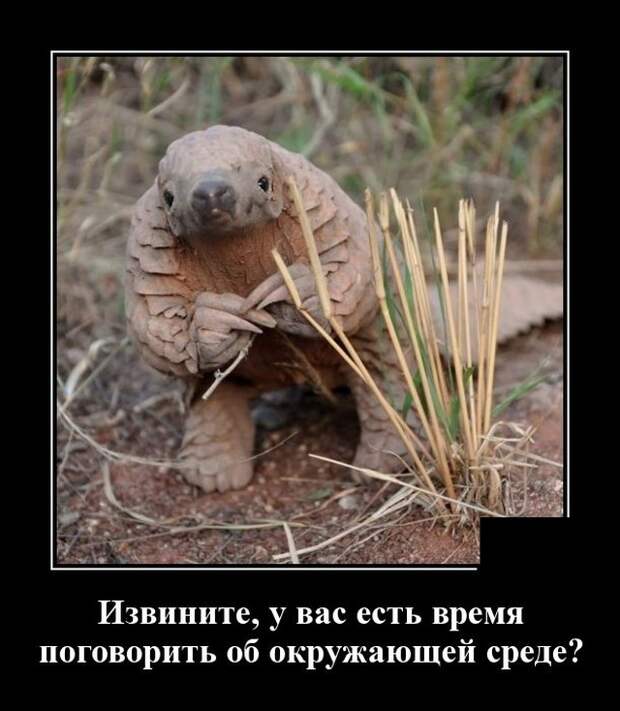 Демотиваторы 6 апреля 2021 года