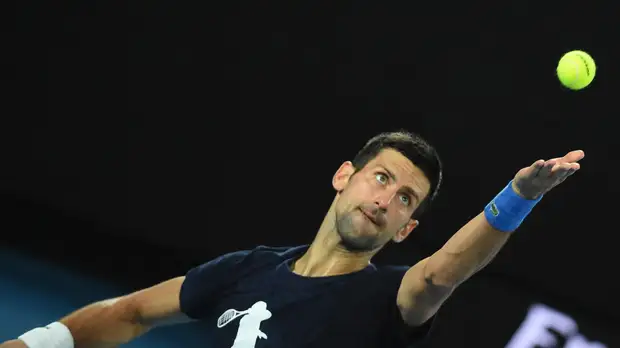 Австралийский журналист назвал болваном Джоковича, пытавшегося въехать в Австралию