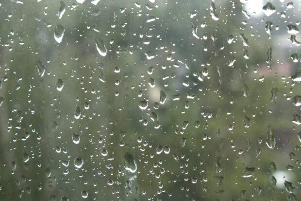 Сильные дожди сохранятся в Нижегородской области 30 июня