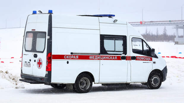 В Подмосковье изолировали контактировавших с больным оспой обезьян