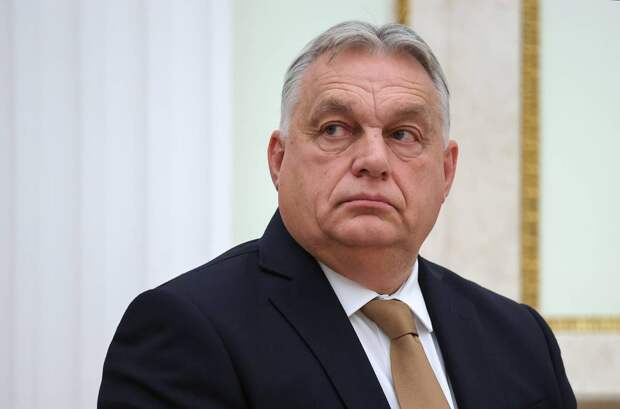 Украину заподозрили в сговоре против Венгрии