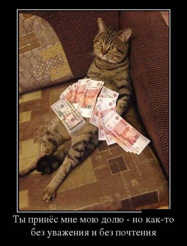 Демотиваторы (20 фото)