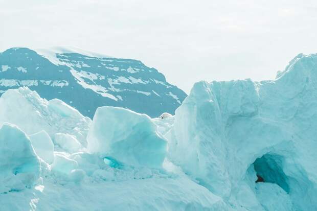 Ямало-Сибирское отделение Научцентра по изучению Арктики начало прием заявок на научно-исследовательскую практику