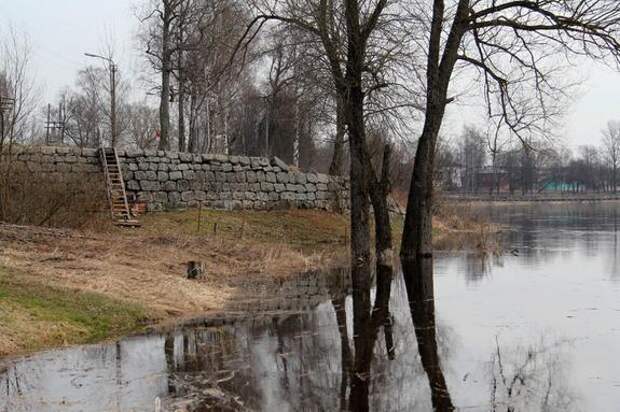 Спасатели Ленобласти сняли угрозу подтопления на реке Оять