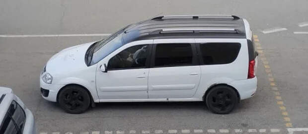 Редкий автомобиль Lada Largus VIP заметили на дорогах Тольятти
