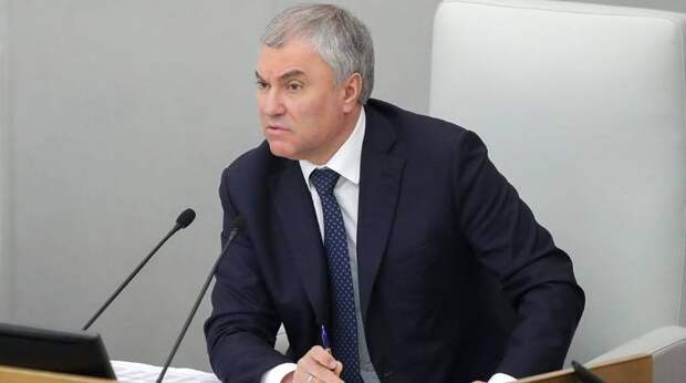«Янки должны уйти»: Володин призвал освободить Украину от американских колонизаторов