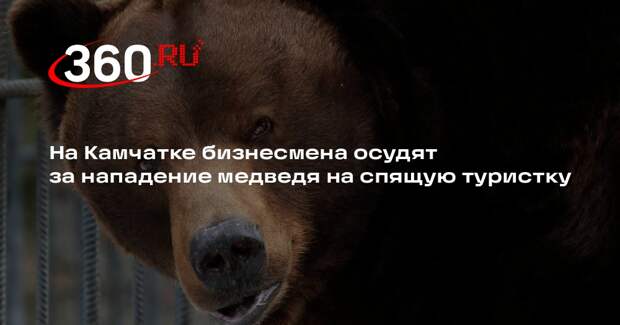 На Камчатке бизнесмена осудят за нападение медведя на спящую туристку
