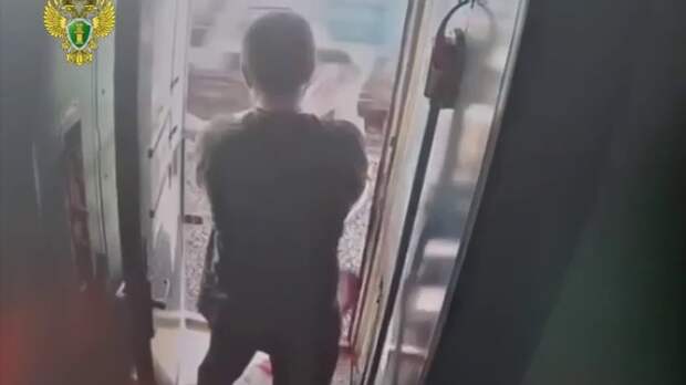 Задержан пассажир, вытолкнувший проводницу из поезда Челябинск — Петербург