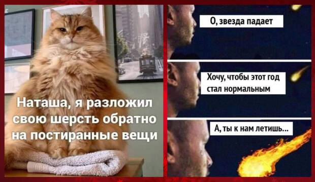 Интернет мемы на утро вторника и постиранные вещи