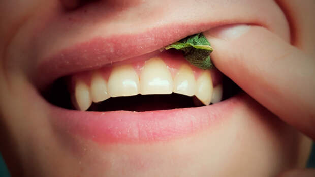 Эпидемия государственного масштаба: Как школьников «подсаживают» на снюс