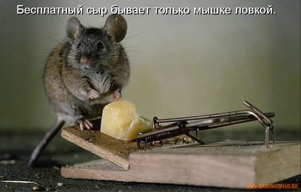 Давайте улыбаться вместе! :) (21повод)
