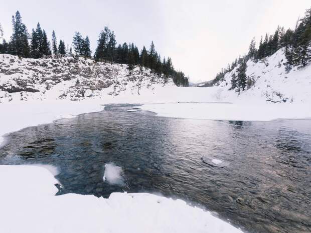 Спасатели ищут троих детей, пропавших в Звенигороде: первые кадры и видео