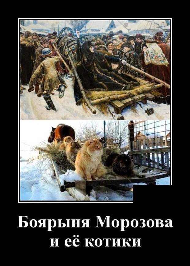 www.vsyako.net