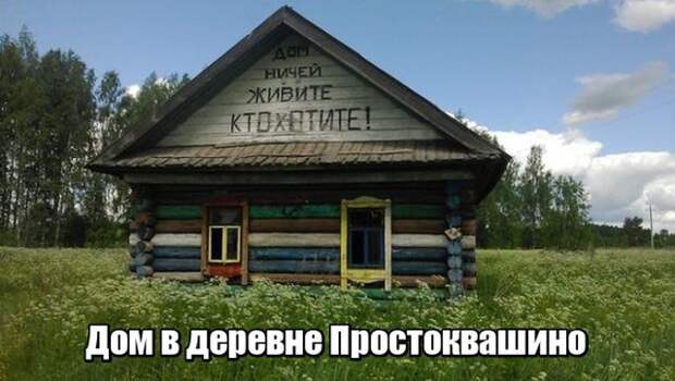 Подборка картинок Подборка картинок
