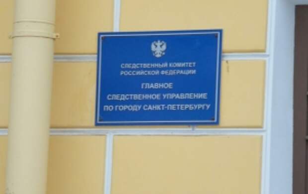 Председателю Следственного комитета России будет доложено о ходе расследования уголовного дела, возбужденного по факту совершения противоправных действий в отношении мальчика-инвалида в Санкт-Петербурге