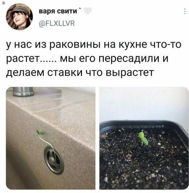 Забавные картинки с юмором