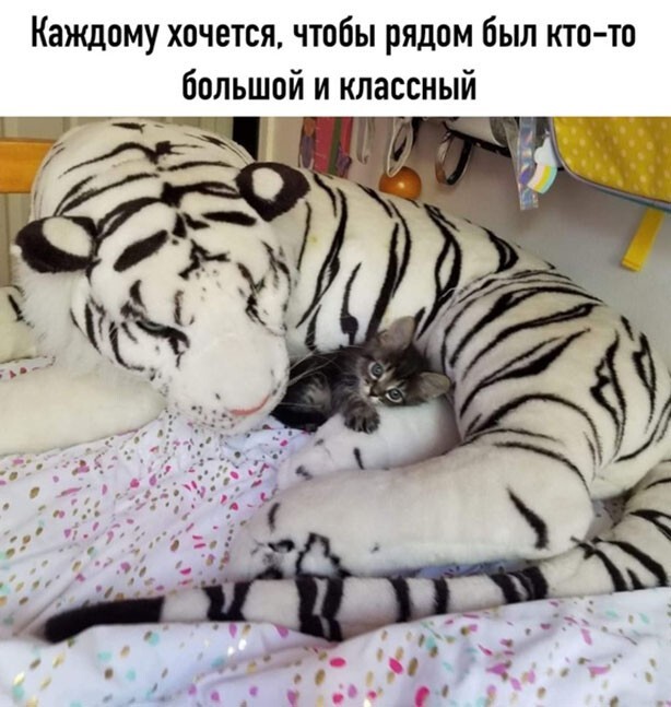Большой и классный Большой и классный