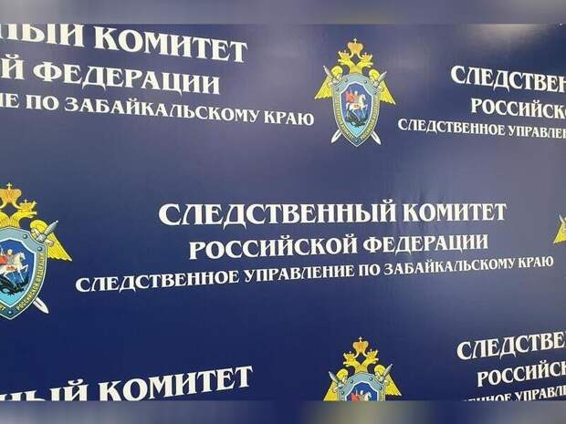 Бастрыкин поручил возбудить уголовное дело из-за сброса стоков в пгт Дровяная