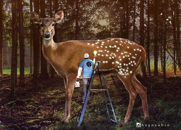 Художник Хусейн Сахин