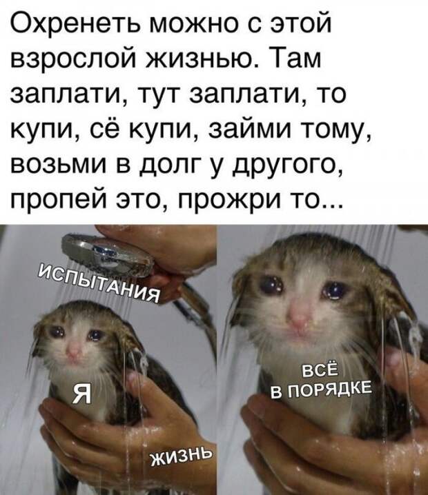 Скрины из социальных сетей