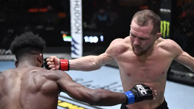 Лебедев назвал фаворита поединка Ян — Стерлинг