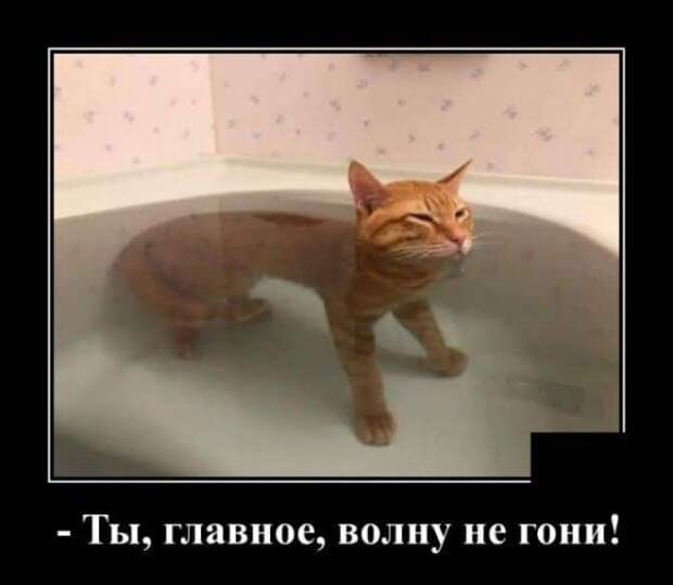 demotivatory-demotivator-smeshnye-demotivatory-demotivator-so-smyslom