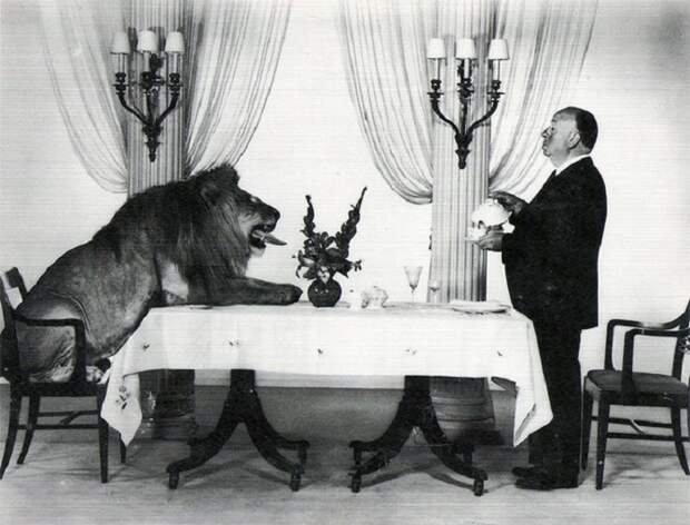 Альфред Хичкок прислуживает льву с заставки «Metro-Goldwyn-Mayer» в 1957 году.