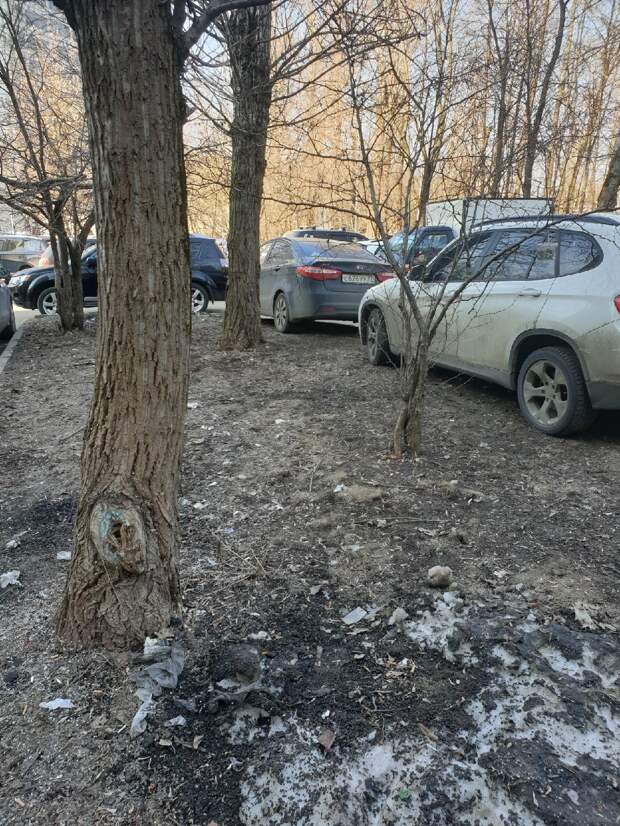 Жители дома на Академика Комарова пожаловались на любителей парковаться на газонах