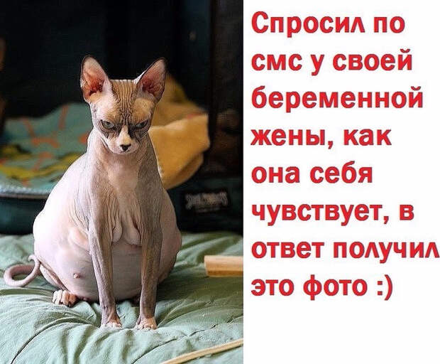 6 (699x578, 379Kb)