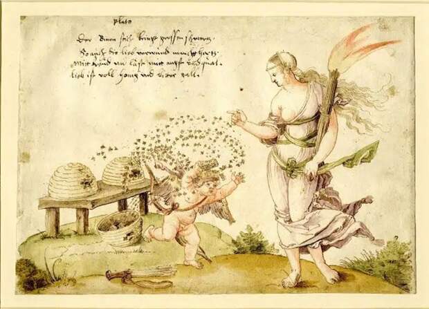 Как мёд превратили в оружие, и почему сегодня он такой дорогой