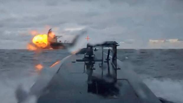 В Турции поставили под вопрос здравомыслие Зеленского после атак в Черном море