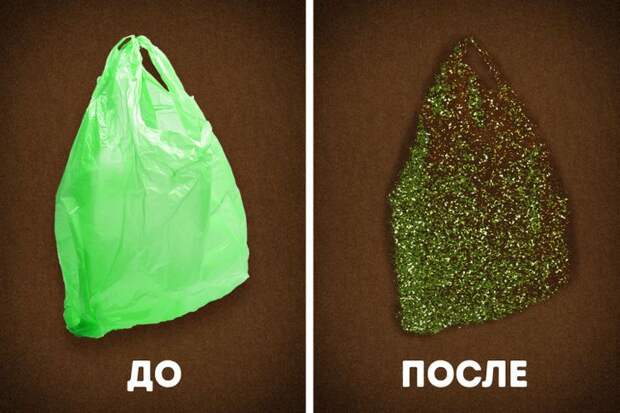 Ученые обнаружили червей, поедающих пластик. И это замечательные новости для нашей планеты