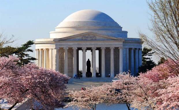 Весной цветущие деревья вишни обрамляют фасад мемориала Томаса Джефферсона у залива Тайдал Бэйсин.