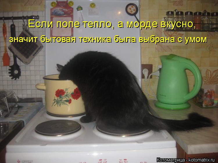 Котоматрица: Если попе тепло, а морде вкусно, значит бытовая техника была выбрана с умом