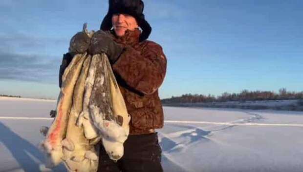 Как отлично ловить речную треску по-якутски — зимняя снасть на налима