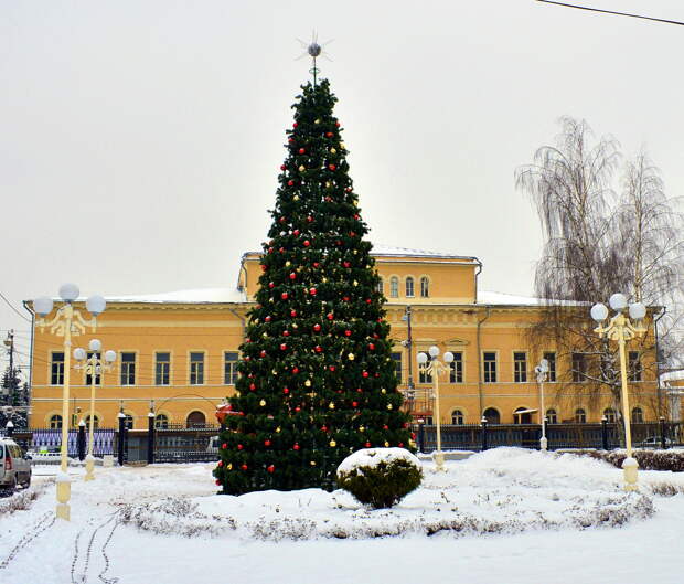 В Твери устанавливают новогодние елки