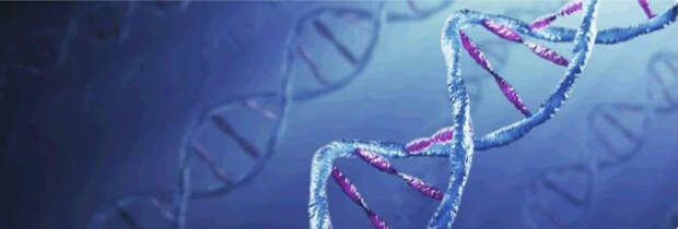 Почему женщины так против ДНК-теста?