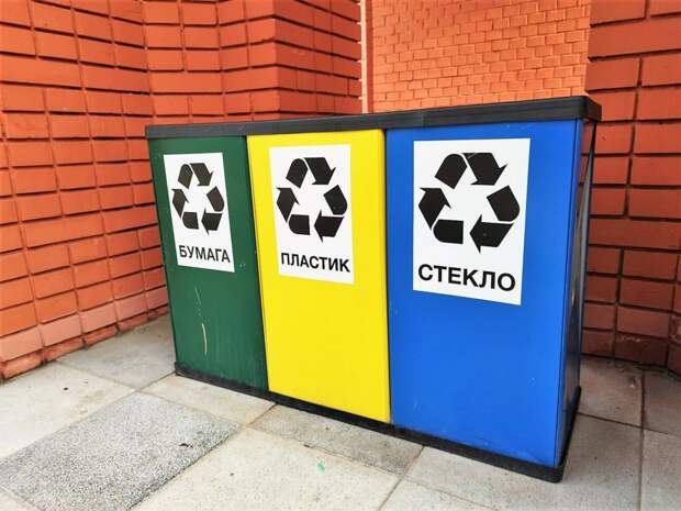 Фото: Виола Сергеева