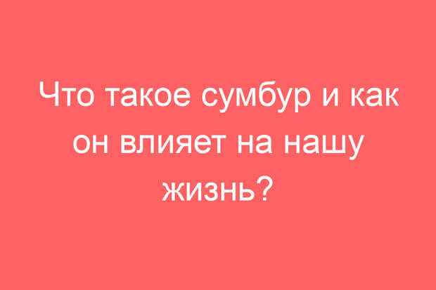Что такое сумбур и как он влияет на нашу жизнь?