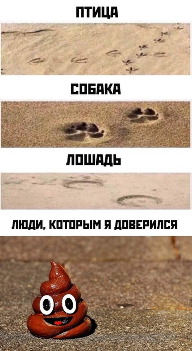 Весёлые