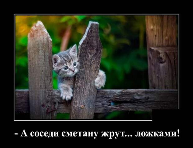 Демотиваторы