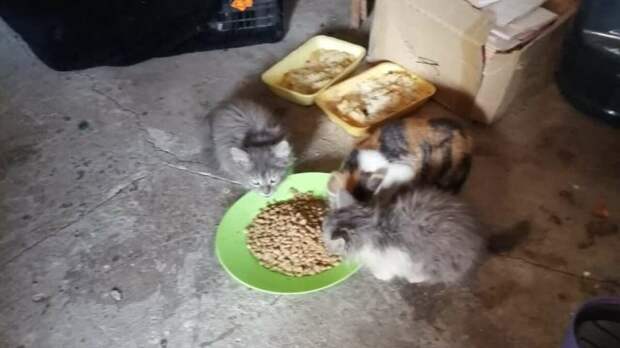 Шанс на новую Жизнь