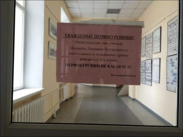 Прикольные надписи и объявления