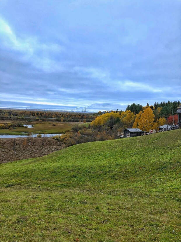 На 596,5 га в Архангельской области нашли нарушения земельного законодательства