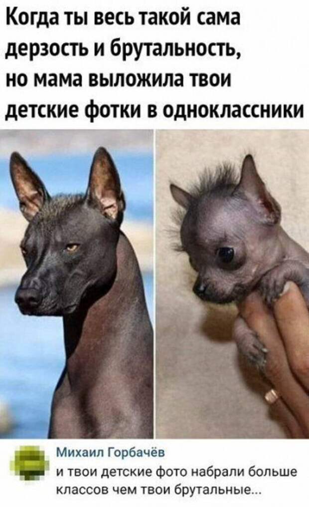 Детские фото ) Детские фото )