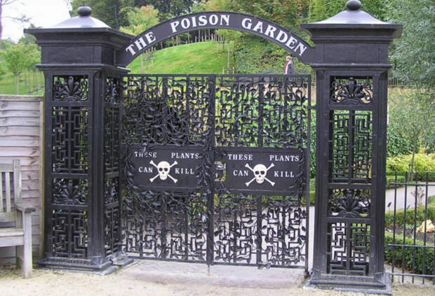 На заглавном фото: Похоже, вход в европейский "райский сад" выглядит так же, как ворота английского сада ядовитых растений