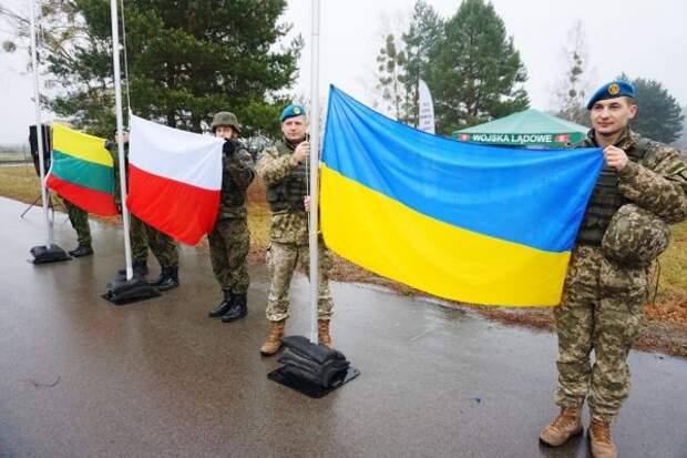 Мнение эксперта превыше всего