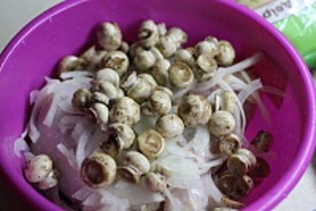 Окорочка с грибами в сметанном соусе – рецепт аппетитного второго блюда из птицы