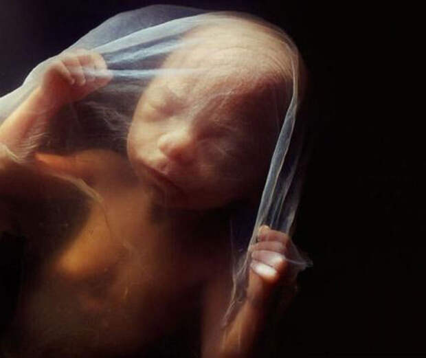 Уникальные снимки рождение новой жизни